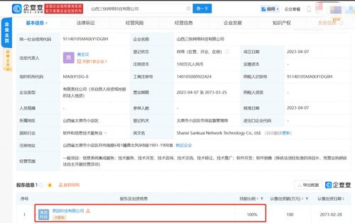 信息系統(tǒng)集成服務 構(gòu)建數(shù)字化未來的關(guān)鍵橋梁